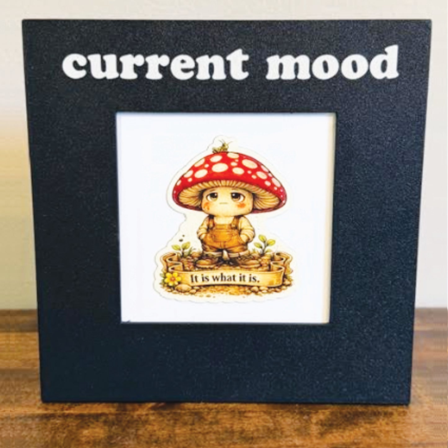 Current Mood Frame Set with 3 Magnets, Funny Garden Desk Decor, Retro Gardener Gift